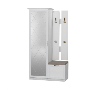 Шкаф комбинированный Визит-4