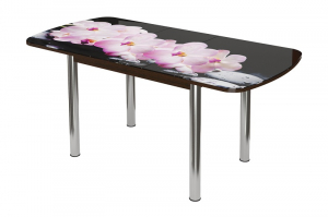 Стол кухонный раздвижной Бостон-3, розовая орхидея (опора брифинг)