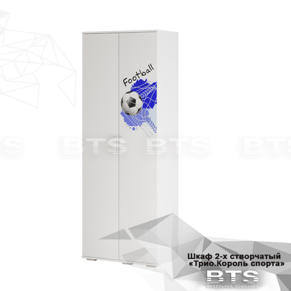 Купить шкаф для одежды трио шк-09 король спорта - 13 483 руб.