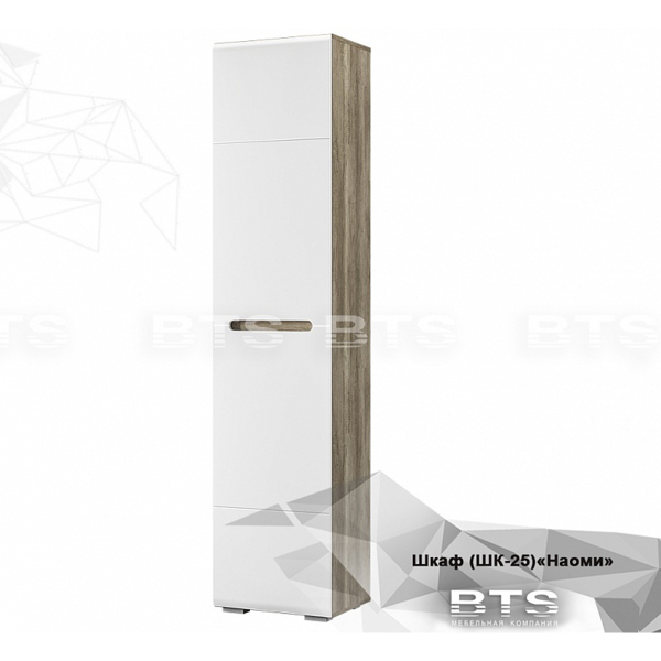 Купить шкаф наоми шк-25 - 10 111 руб.